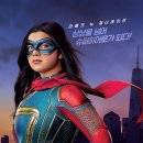 미즈아트 이미지