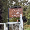 충북 제천 덕동리301캠핑장 시설 및 F사이트 2번 노키즈존 후기