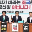 비호로 이미지
