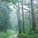 빨간펜션 이미지