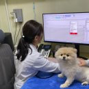 서신동물병원 이미지