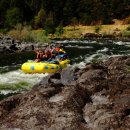 주)골드리버 이미지