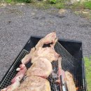 마당숯불구이 이미지