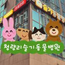 우남동물병원 이미지