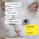 써니네정육점