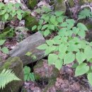 종수농장 이미지