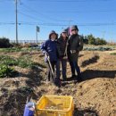 서울온(ON)농부들 이미지