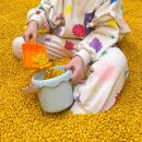 플레이스포츠 하남미사 네이버블로그