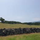 시현목장 이미지