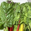 삼육사로17 이미지