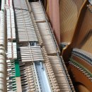 영창고무 이미지