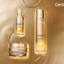 골든라인 이미지