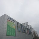 올림픽로4길 | 잠실 에스테틱 제이스테라피에서 등마사지 받은 솔직 후기