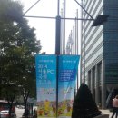 라온캐터리 | 2014.8.31. CFA 올 캣 페스티벌.