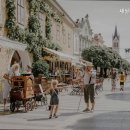 세실리아 요양원 이미지