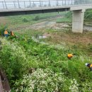 파주정신건강의학과의원 이미지