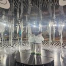 섬심카닥터 | 1일차 모닝투어(혼또섬 케이블카 워터파크 페퍼스파...리조트 갈라디너 후기 비엣젯항공 후기 VJ975 VJ...