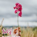화요일 이미지