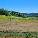 버덩농장 이미지