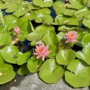 낙동강하천공원주차장 이미지