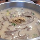 봉평고향막국수 | 진한 들깨향에 반했어요, 봉평고향막국수 방문 후기🍜