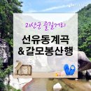 (날씨관계로 산행취소)7월18일(목) (제510회) 충북 괴산군 갈모봉(582m)과 선유동계곡 피서산행갑니다. 이미지