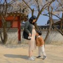 솜사탕문방구