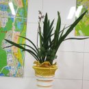 골드리치공인중개사사무소 이미지