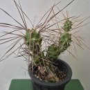 시아농장 이미지