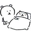 콘피