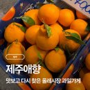 애향길 | 서귀포 올레시장 과일가게 제주애향 재방문 후기｜귤 택배 무료, 내돈내산