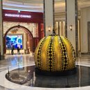 타이거 파라다이스 | 영어키즈카페 블루타이거 파라다이스시티점 2시간 수업 후기 (키즈룸·패밀리라운지까지 완벽)