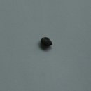 꽃며느리 이미지