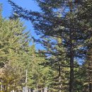 평화목장1 이미지