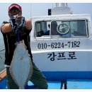 고군산권 십이동파 농루 꽝^^^ㅠ 이미지