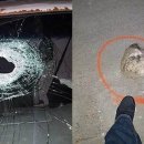 이례로-2 이미지