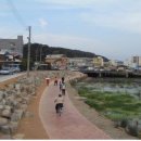 둔치공원 충청일보