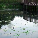 광릉수목원 이미지