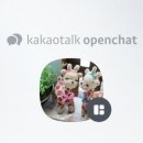 댕댕이 이쁘개 이미지