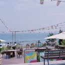 (주)아난티코브 네이버블로그