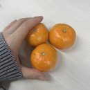 콩부자 개봉점 | [순기] 회식 가득 12월 중순, 이렇게 또 한해가 지나간다.