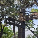 가위박물관 이미지