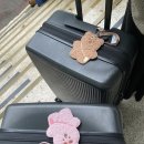 대영마트 | 여행 첫걸음 ep.1 (+ 의정부 공항버스 꿀팁, 아시아나...라인, 버킹엄궁전, 트레블월렛, 반콘, 대영박물관)