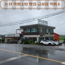 금성집