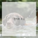 승리생활건강 이미지