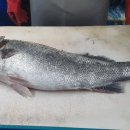 효자네수산 이미지