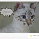 백호동물병원 이미지