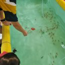 가남낚시터 이미지