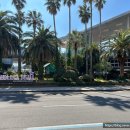 남원읍-78 | [제주여행] 2022년 2월 여행기(+아스타호텔, 캠퍼트리호텔,기린빌라리조트 후기)