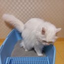 모래울화장실 이미지